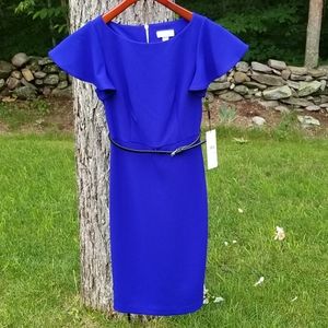 Calvin Klein, Flutter Sleeve Dress, Size 2